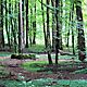 Bild 06: Waldwerk Kuno